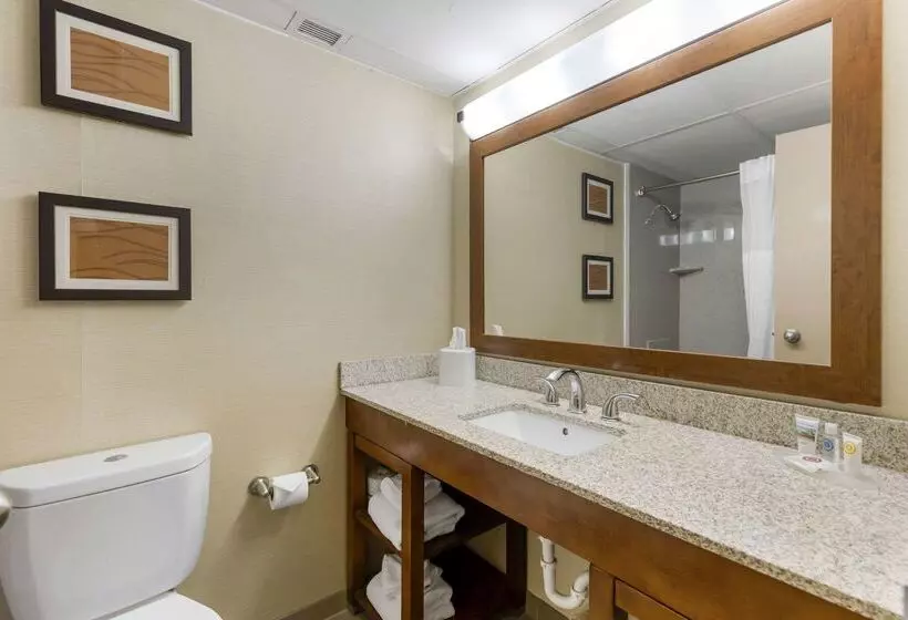 هتل Comfort Inn St. Louis Westport Event Center