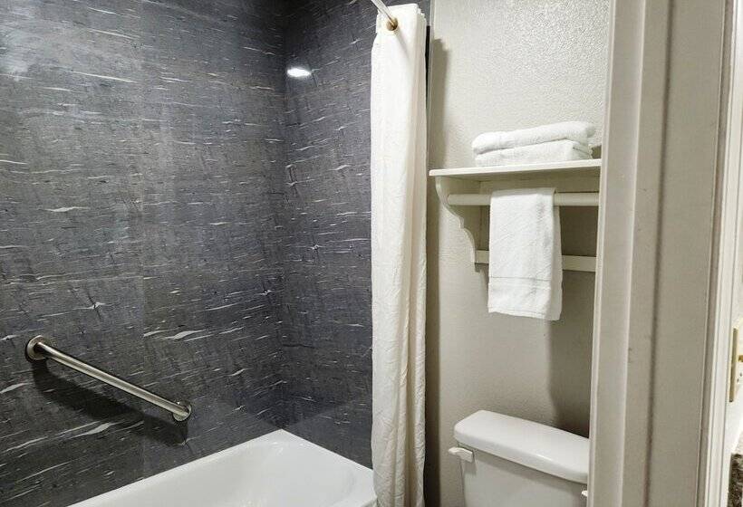 Hotel Express Inn Hobby