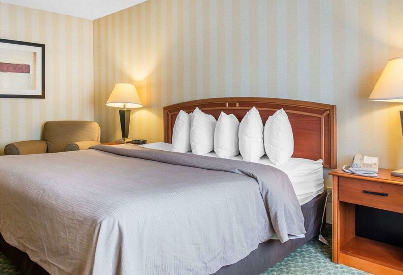 هتل Quality Inn Airport
