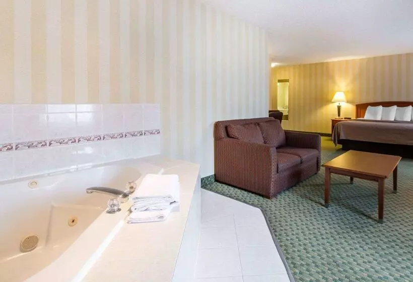 호텔 Quality Inn Airport