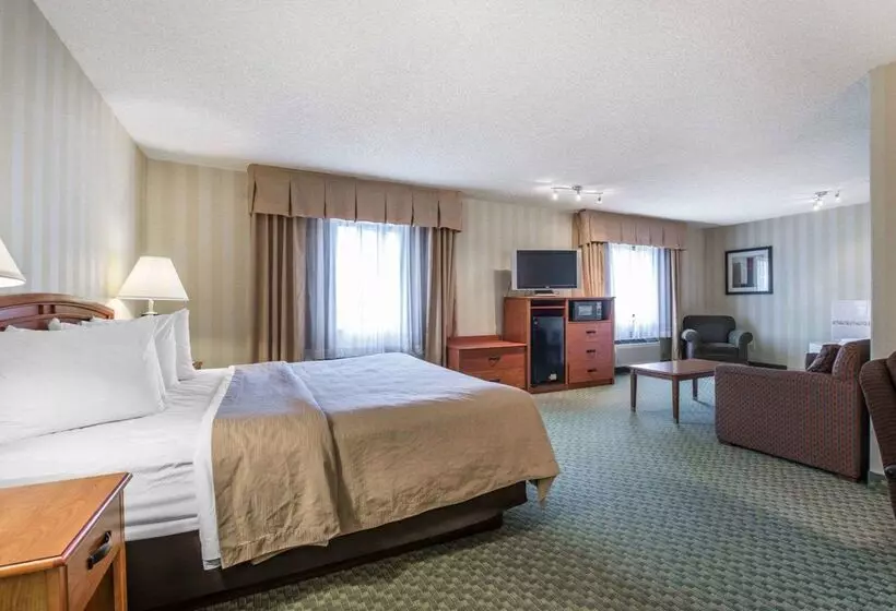 호텔 Quality Inn Airport