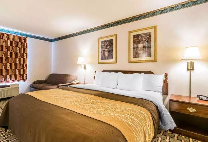 Hotelli Quality Inn & Suites