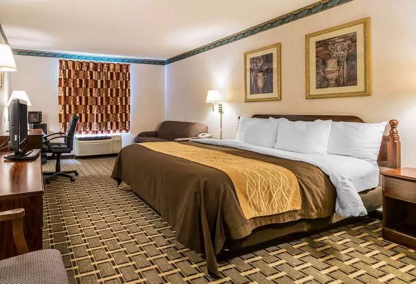 Hotelli Quality Inn & Suites