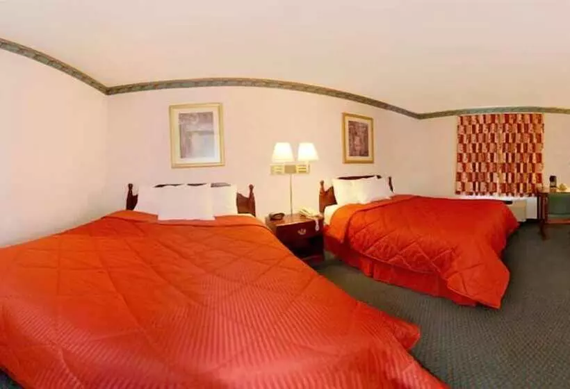 Hotelli Quality Inn & Suites