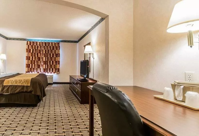 Hotelli Quality Inn & Suites