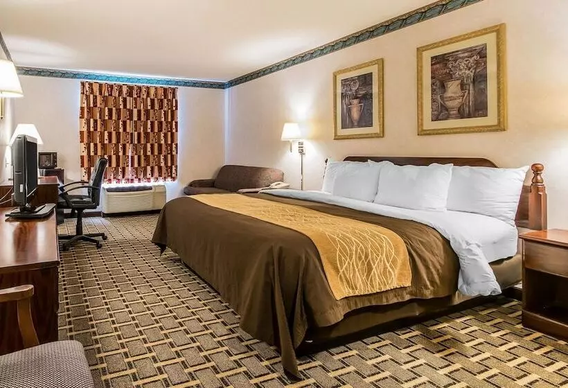 Hotelli Quality Inn & Suites