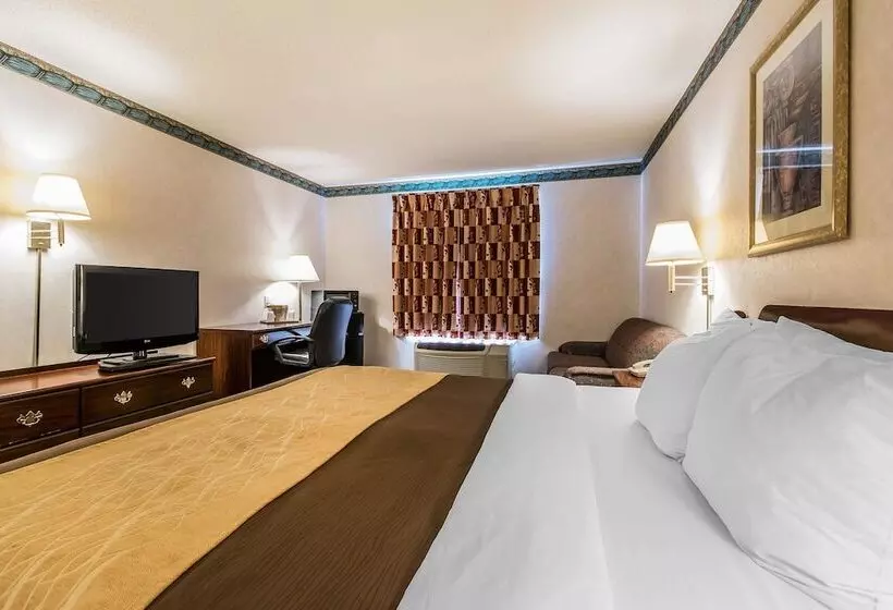 Hotelli Quality Inn & Suites