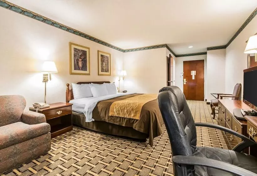 Hotelli Quality Inn & Suites