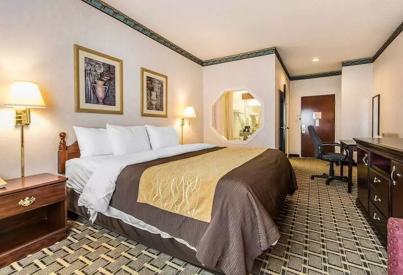 Hotelli Quality Inn & Suites