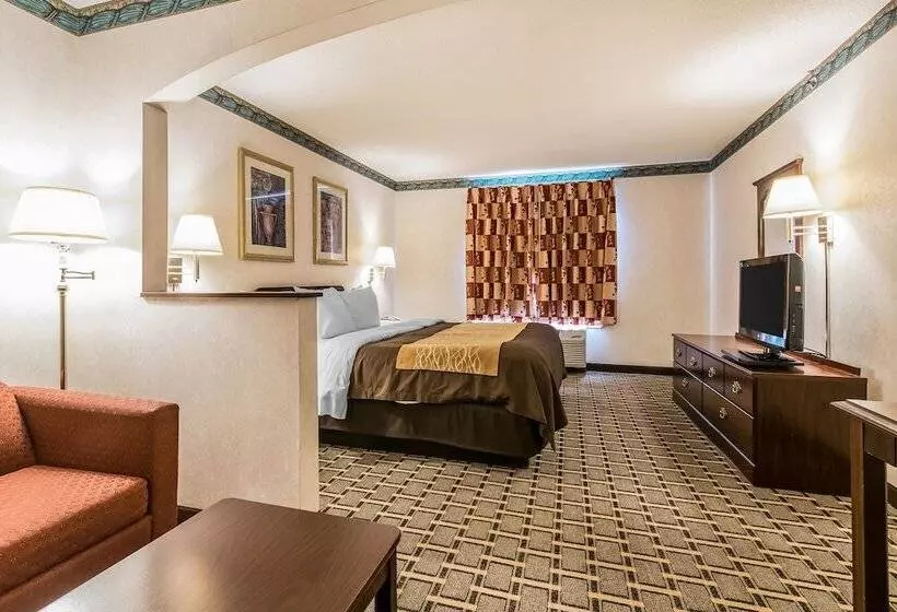 Hotelli Quality Inn & Suites