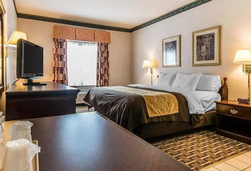 Hotelli Quality Inn & Suites