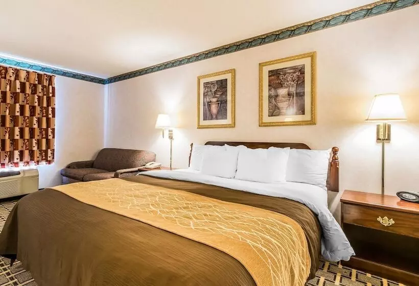 Hotelli Quality Inn & Suites