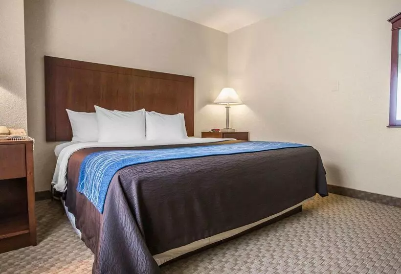 ホテル Quality Inn & Suites Dixon Near I88