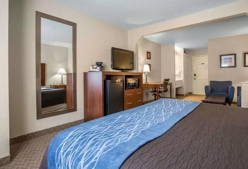 ホテル Quality Inn & Suites Dixon Near I88