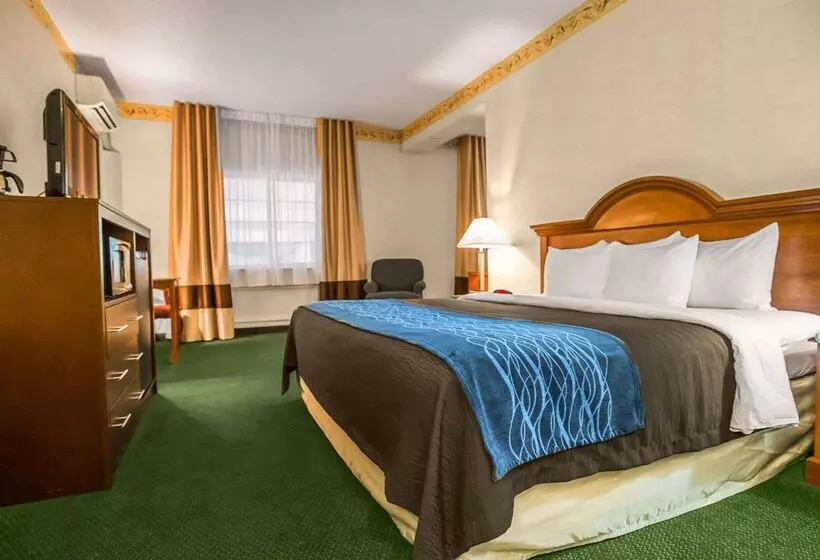 ホテル Quality Inn & Suites Dixon Near I88