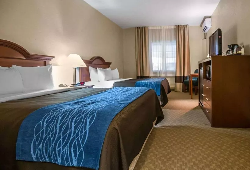 ホテル Quality Inn & Suites Dixon Near I88