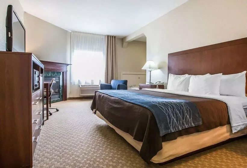 ホテル Quality Inn & Suites Dixon Near I88