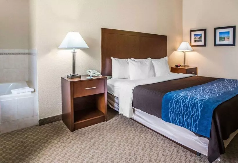 ホテル Quality Inn & Suites Dixon Near I88