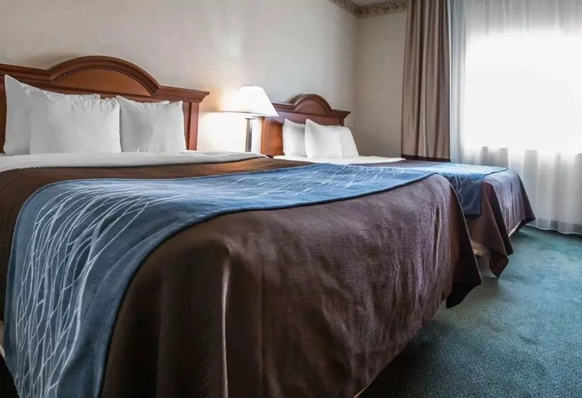 ホテル Quality Inn & Suites Dixon Near I88