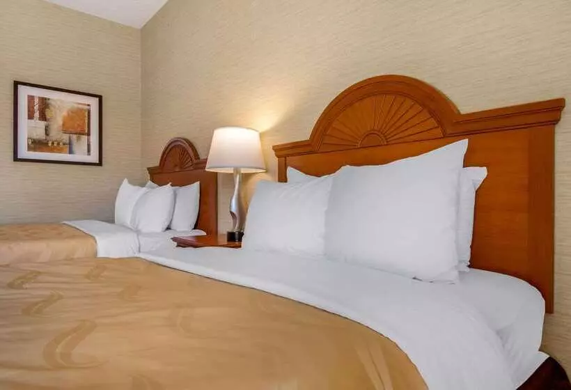 酒店 Quality Inn & Suites
