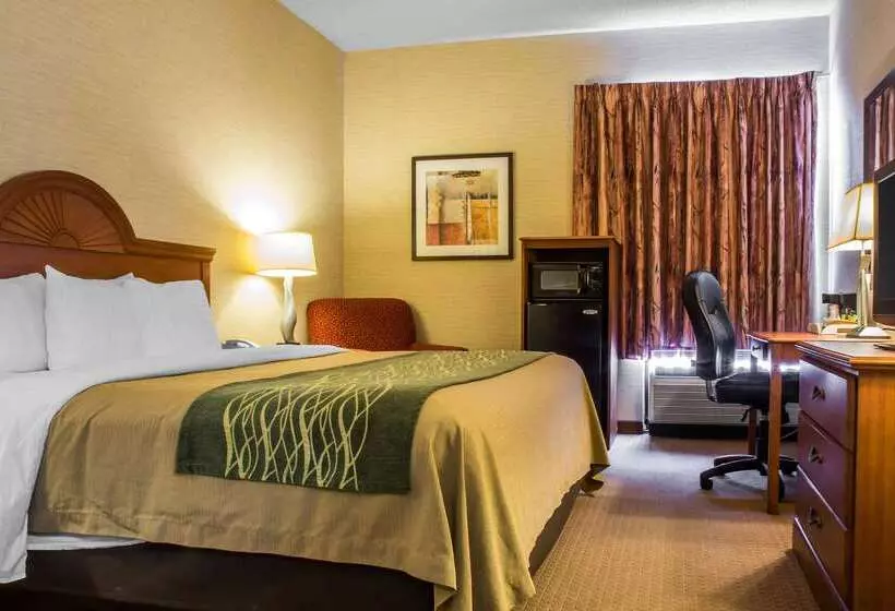 酒店 Quality Inn & Suites