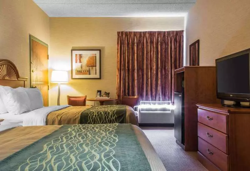 酒店 Quality Inn & Suites