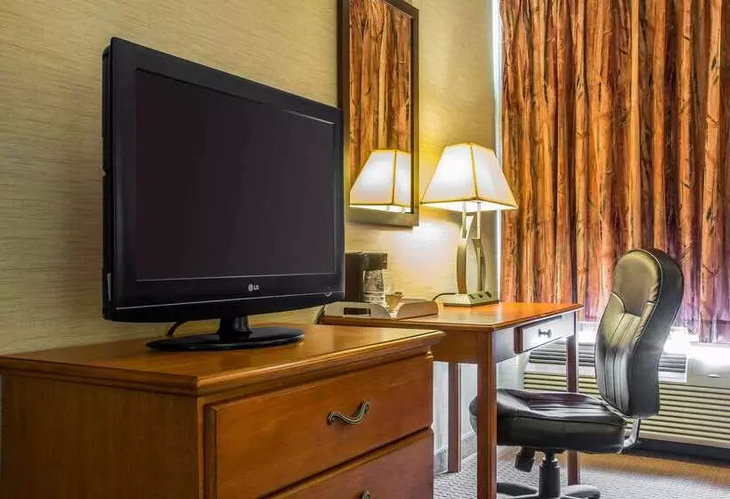 酒店 Quality Inn & Suites