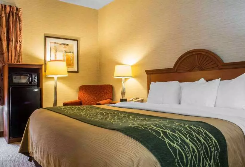 酒店 Quality Inn & Suites