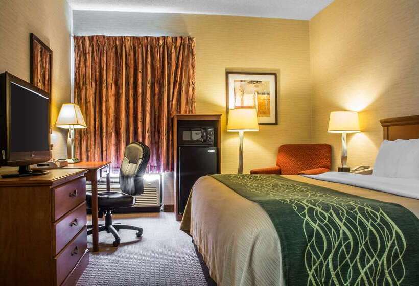 Отель Quality Inn & Suites