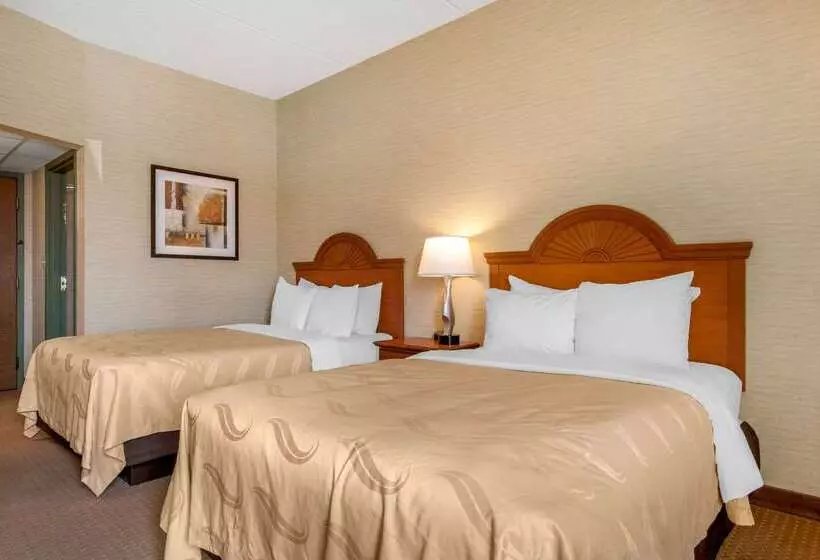 酒店 Quality Inn & Suites