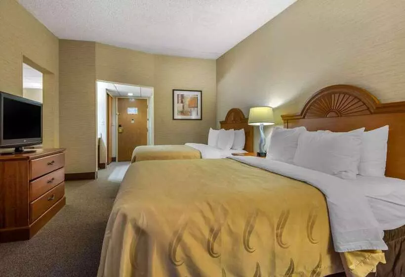 酒店 Quality Inn & Suites