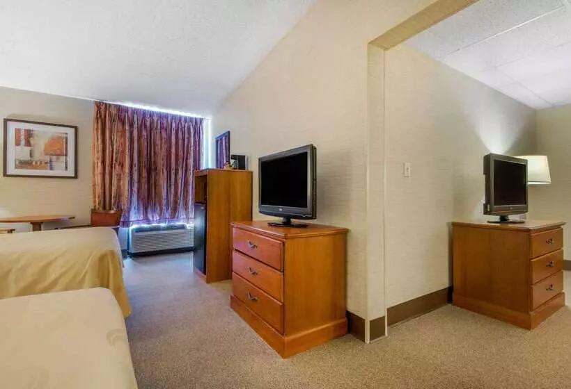 酒店 Quality Inn & Suites