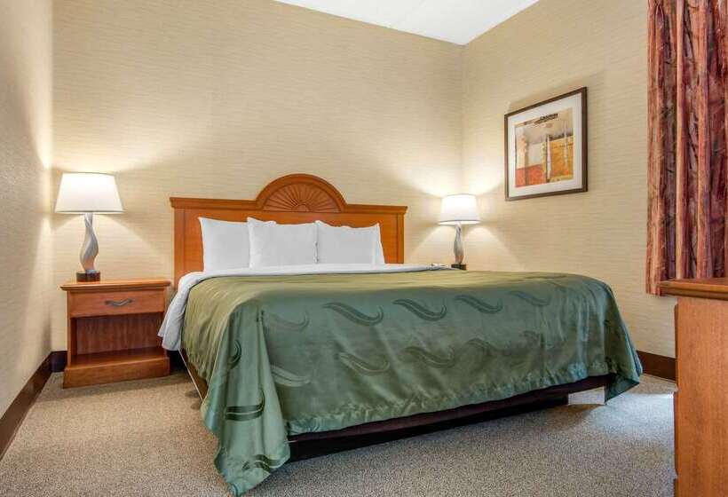Отель Quality Inn & Suites