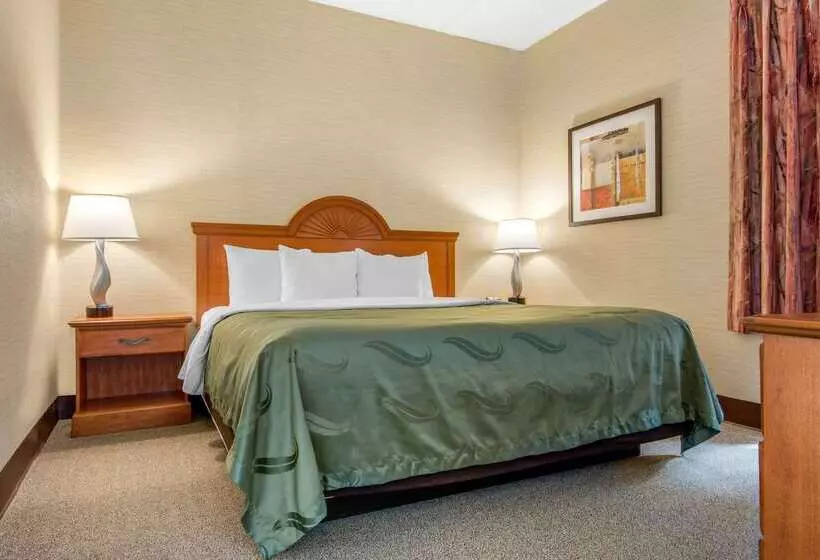 酒店 Quality Inn & Suites