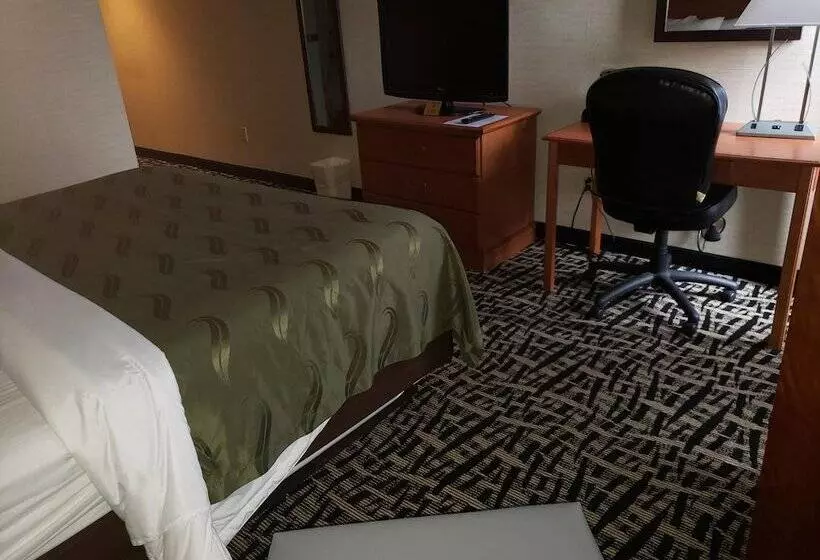 酒店 Quality Inn & Suites