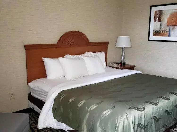 酒店 Quality Inn & Suites