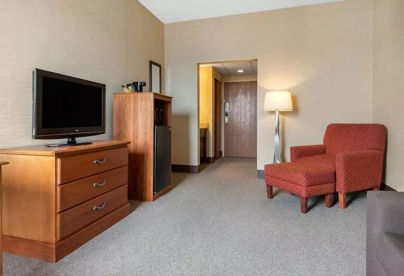 酒店 Quality Inn & Suites