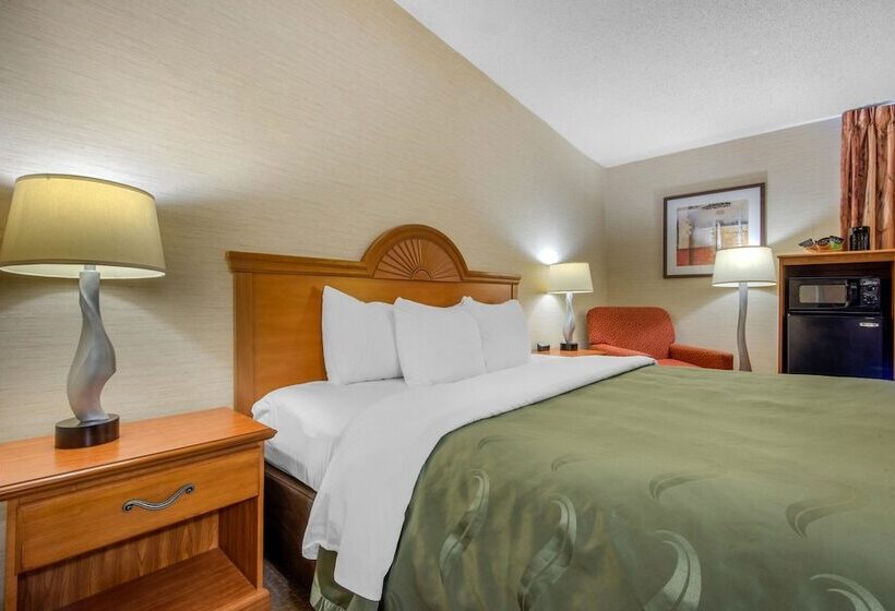 Отель Quality Inn & Suites