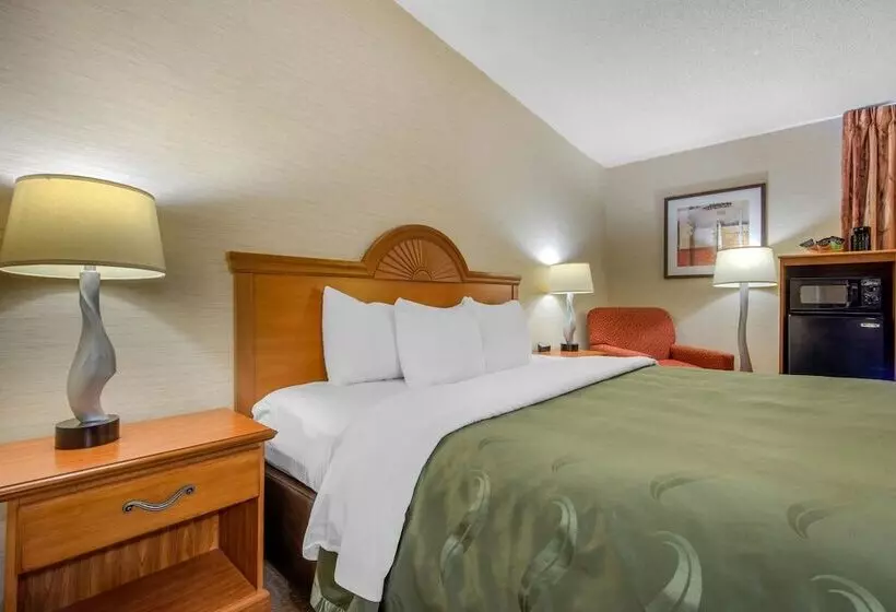 酒店 Quality Inn & Suites