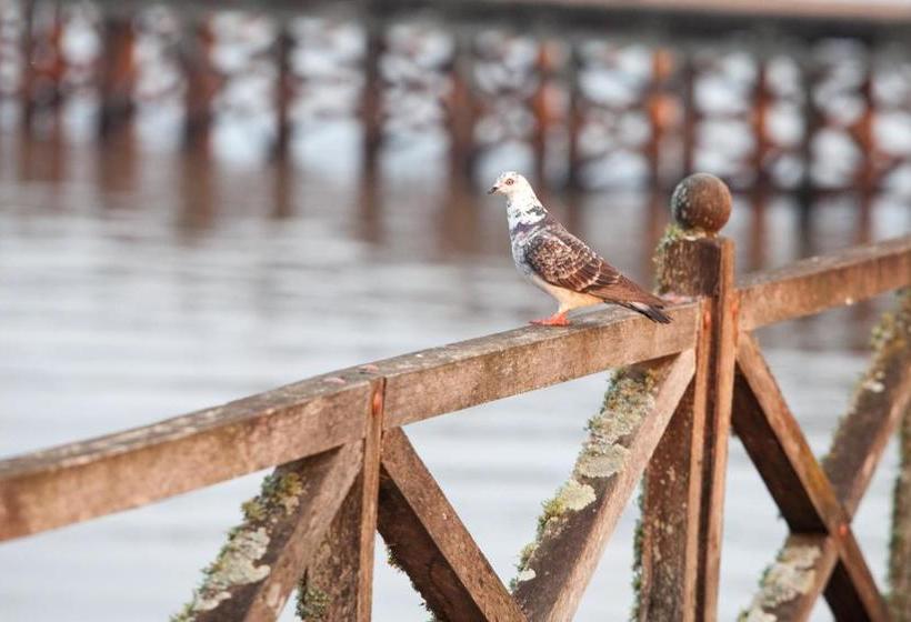 Otel Bagu Nueva Palmira