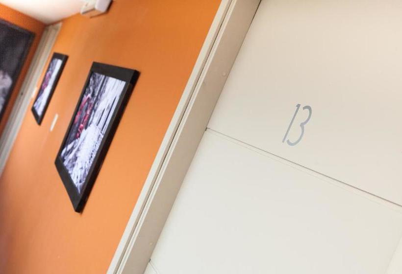 Otel Bagu Nueva Palmira