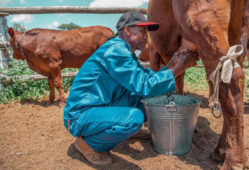 هتل Farmstay Okakeua