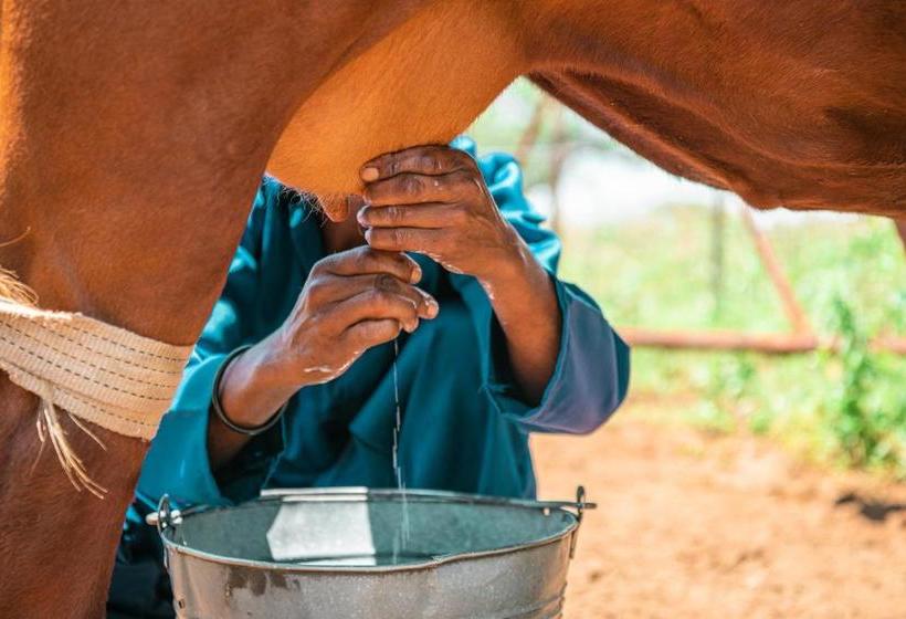 هتل Farmstay Okakeua