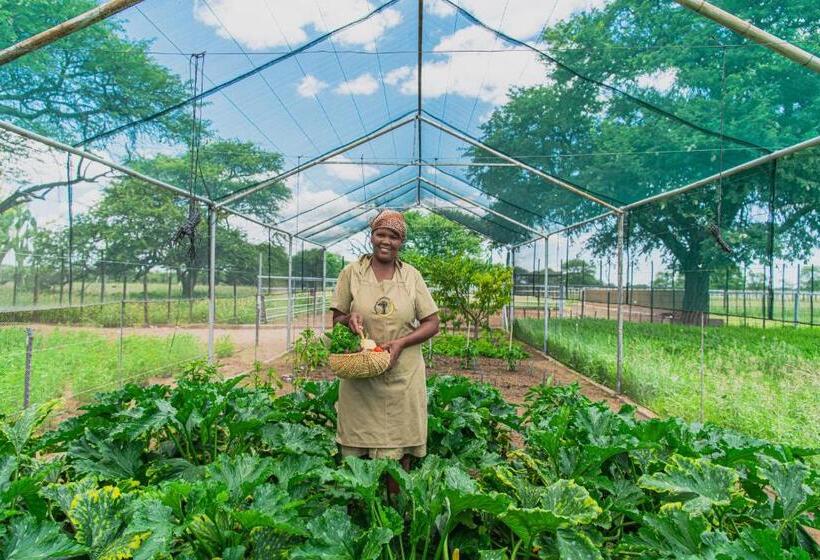 هتل Farmstay Okakeua