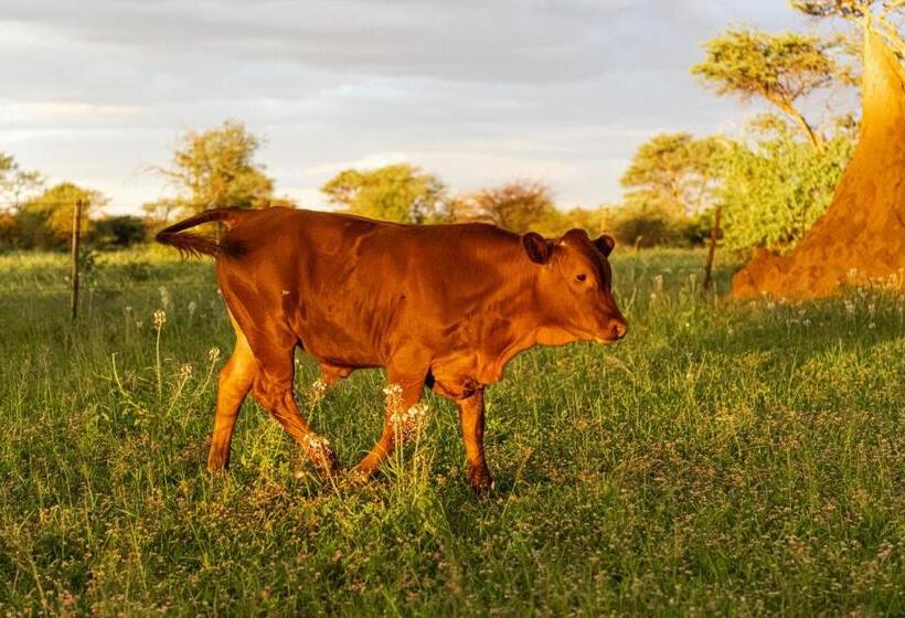 هتل Farmstay Okakeua