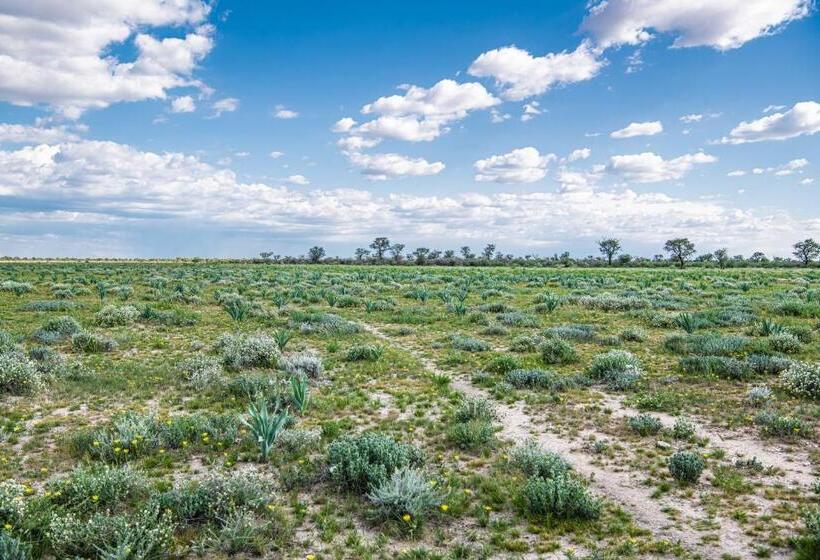 هتل Farmstay Okakeua