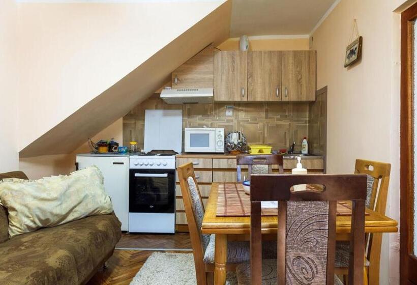 پانسیون Apartment & Rooms Aleksandar