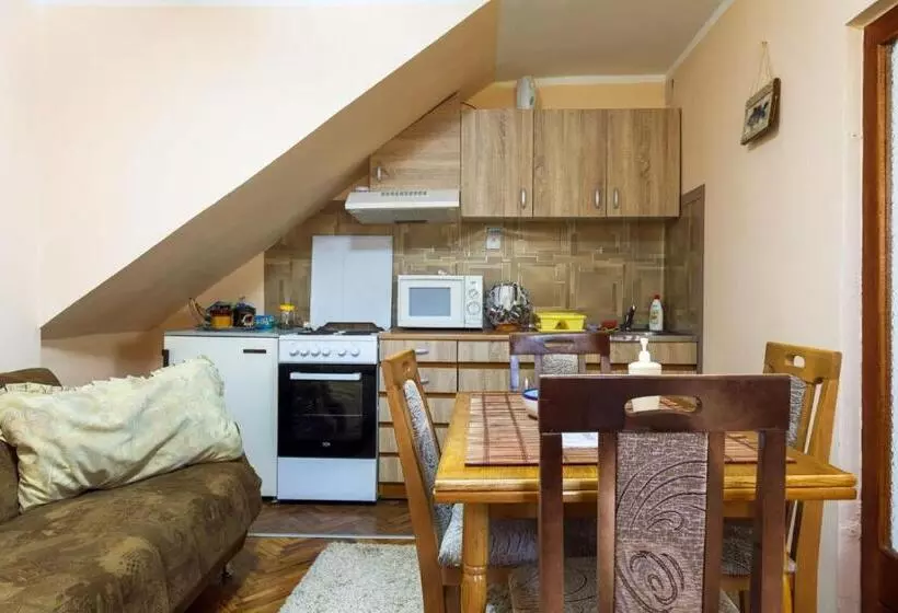 پانسیون Apartment & Rooms Aleksandar