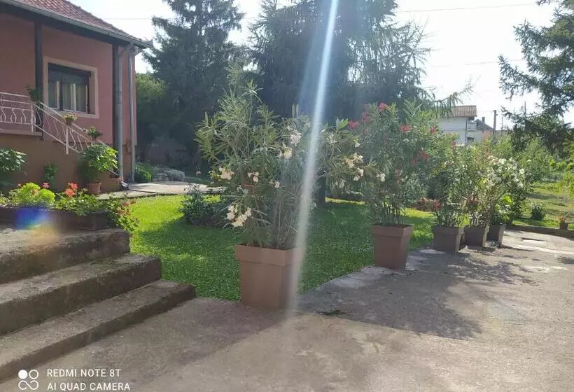 پانسیون Apartment & Rooms Aleksandar