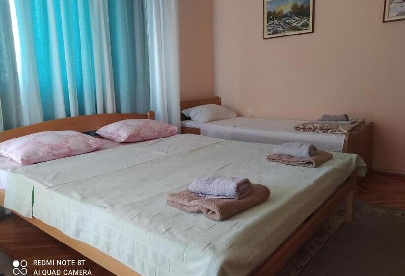 پانسیون Apartment & Rooms Aleksandar